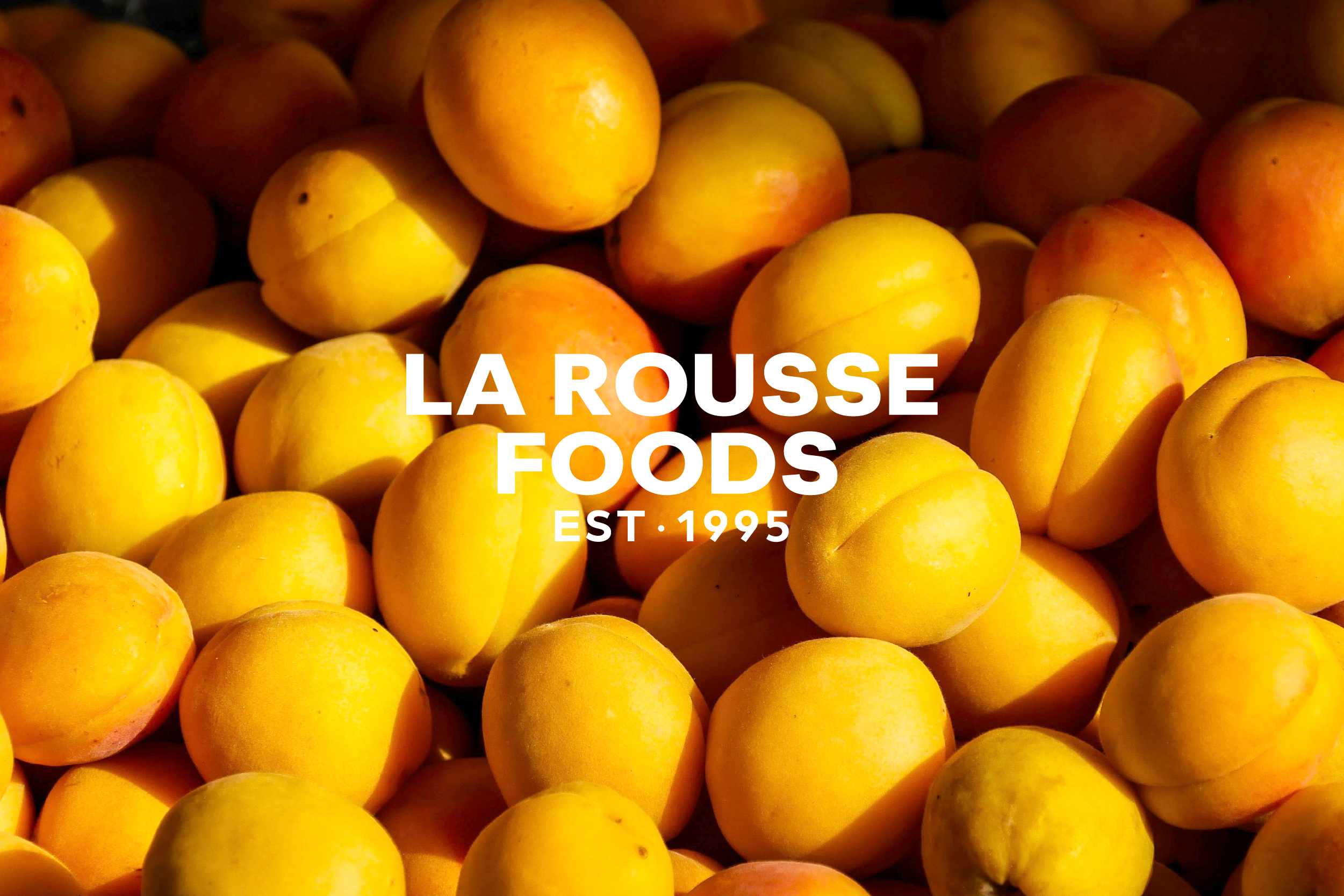 ThirdLR Header Big 04 1200x800